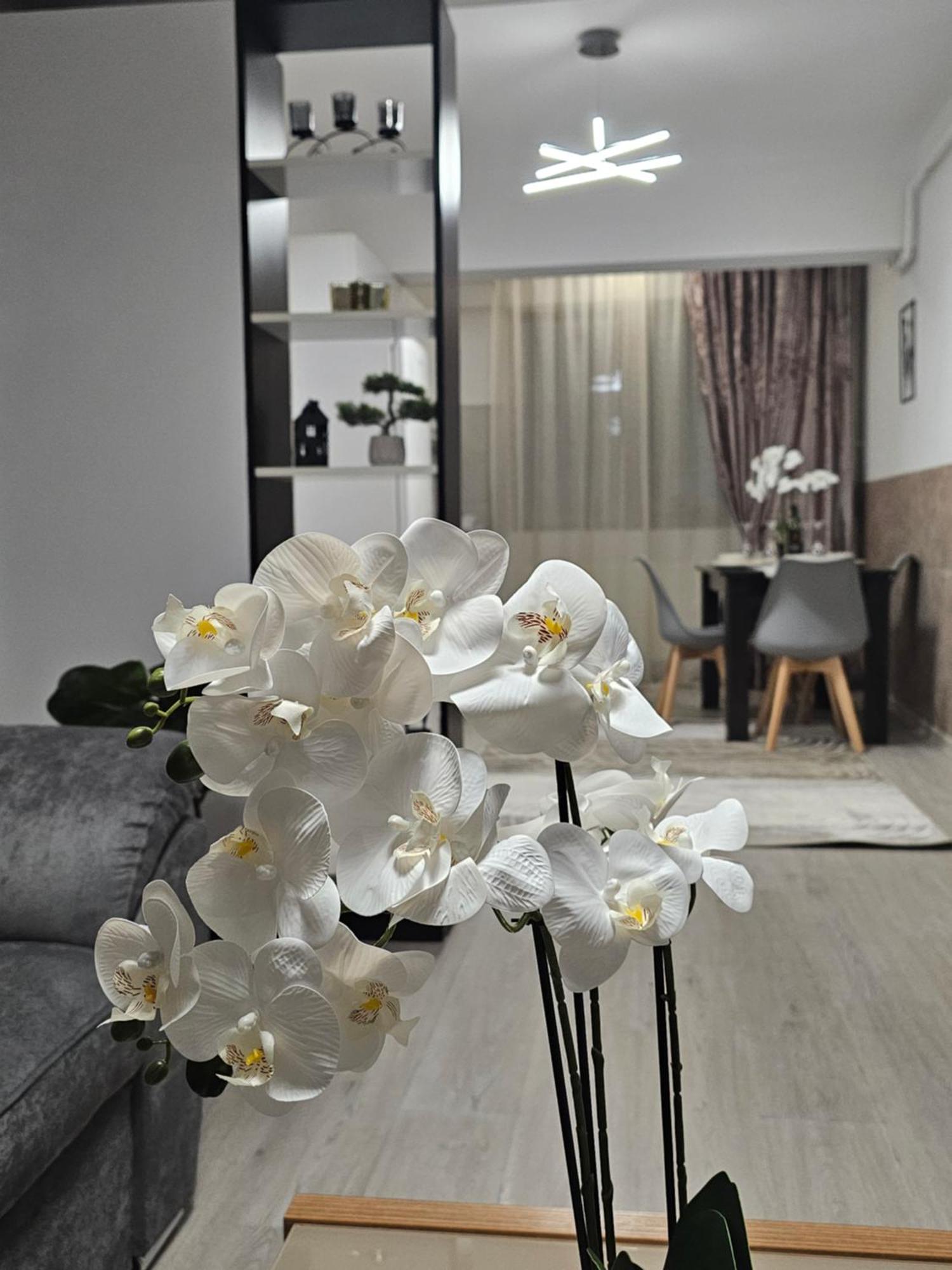 Enjoy My Home Near Palas Mall 2 ยาช ภายนอก รูปภาพ